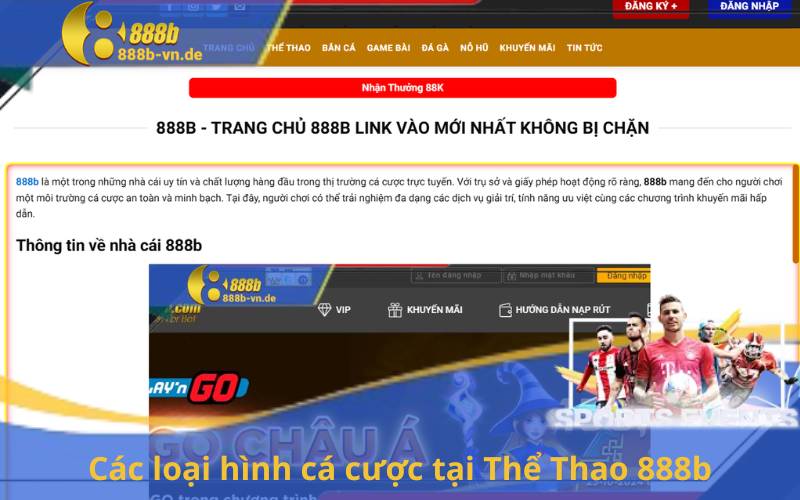 Các loại hình cá cược tại Thể Thao 888b