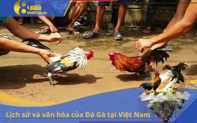 Lịch sử và văn hóa của Đá Gà tại Việt Nam